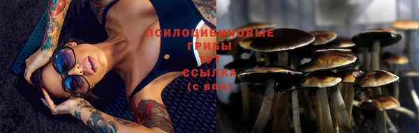 кокаин Алексеевка